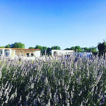 La Belle Maison Casa vacanze Contre (Charente-Maritime)